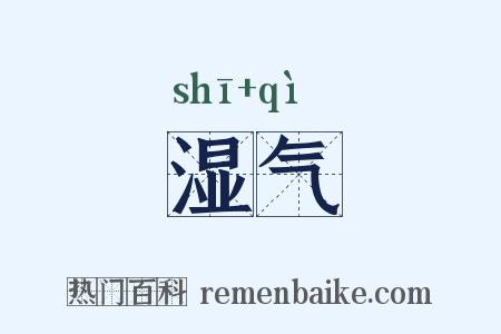 湿气是什么意思的图片